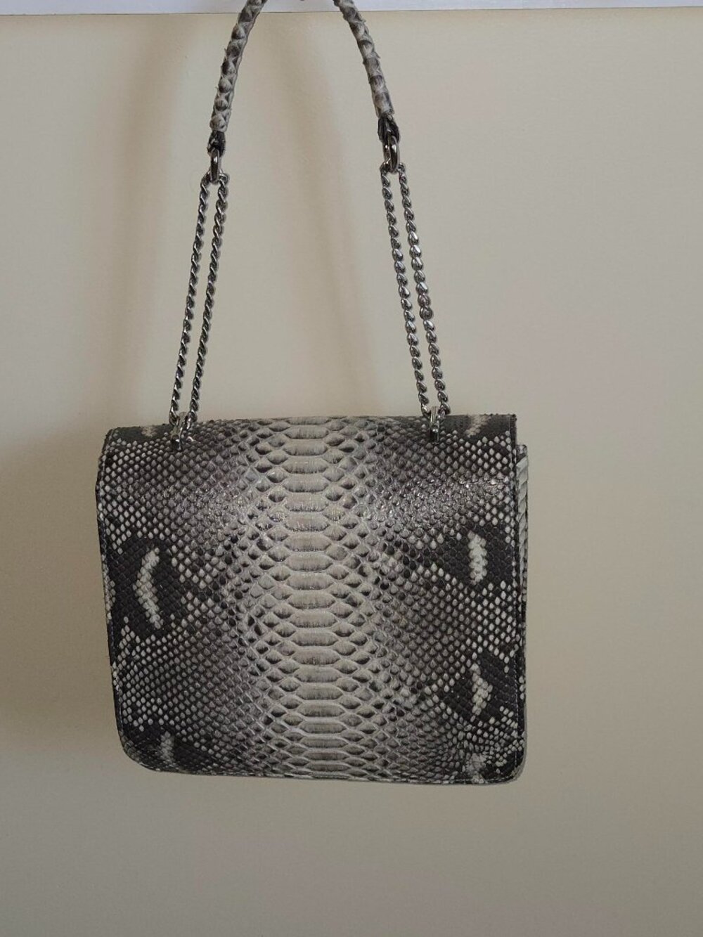 Python Handbag
